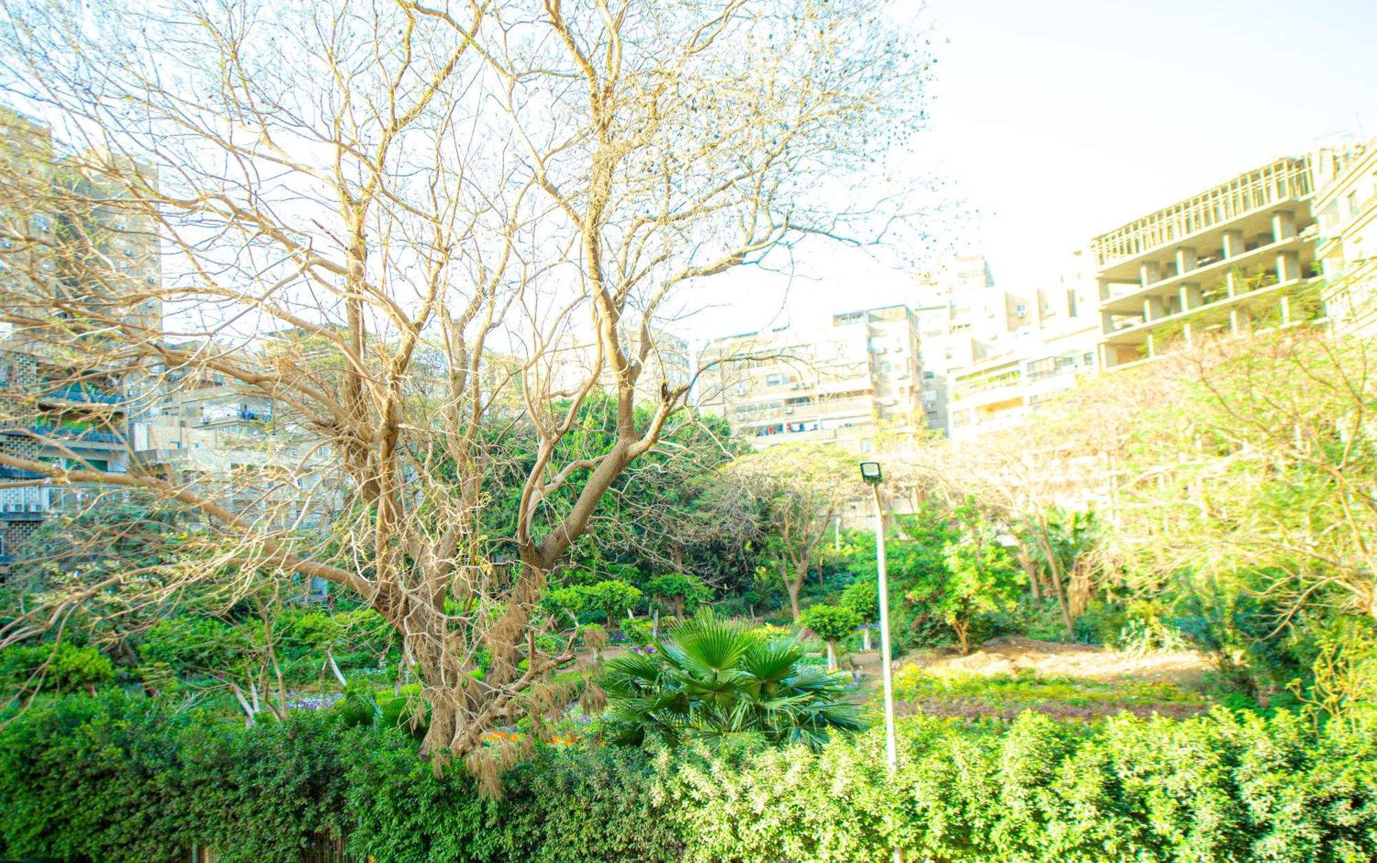 Elegance Tower Giza Exterior foto